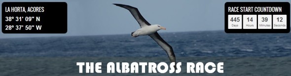 the albatross race