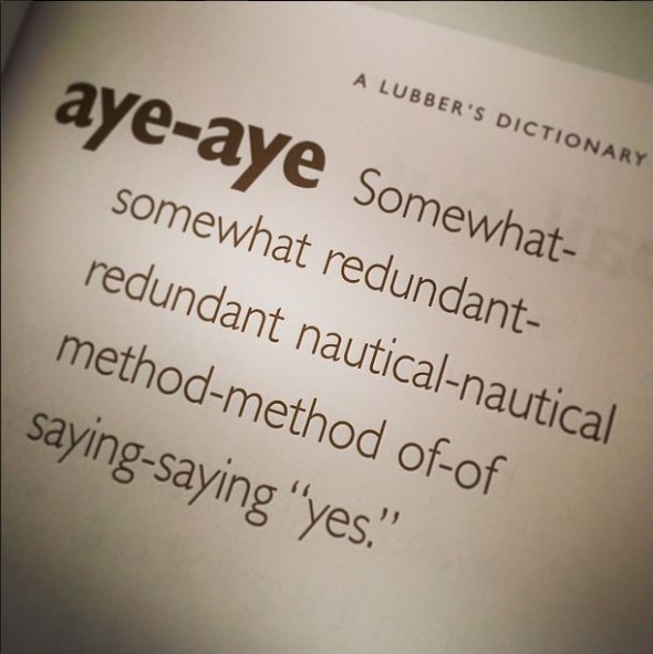 aye-aye