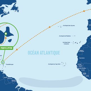 Route du Rhum 2026: come seguirla in streaming da casa