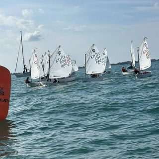 Veleziana Optimist